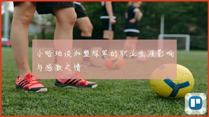 小哈珀谈加盟绿军的职业生涯影响与感激之情